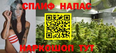 стафф Малоярославец