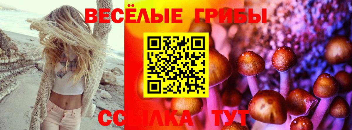 Железноводск  Галлюциногенные грибы мицелий  Вход с VPN  Псилоцибиновые грибы Magic Shrooms 